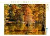 CALVENDO Puzzel voor kanovaren en moerascipressen in Trap Pond State Park, Delaware, 1000 stukjes legformaat, 64 x 48 cm, fotopuzzel voor gelukkige uren