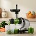 Byzoo Slowjuicer Rhino - Argent - Incl. Livre & Bouteilles