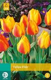 Jub Tulipa Flair bloembollen 10 bollen Tulp JUB
