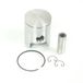 Polini Piston moteur pour Scooter Peugeot 50 Ludix 204.0839/B Neuf