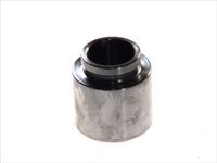 Autofren Seinsa D025233 zuiger, remklauw