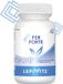 LEPIVITS LEPIVIT IJzer Forte | 60 plantaardige capsules | Biobeschikbaar Ijzer + Actieve Vitaminen B6 & B9 | Corrigeert Tekorten aan Ijzer | Gemaakt in België