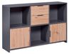 Commode avec 2 portes et 2 tiroirs, en chêne artisan/anthracite