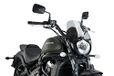 Puig Voorruit Naked New Generation Sport 3175H