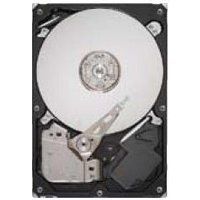 Seagate DiamondMax 21 - 250GB SATA
