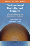 The Cambridge University Press Methods for Social Inquiry-The Practice of Multi-Method Research Paperback