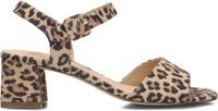 Peter Kaiser 78240 Sandalen Dames Bruin Maat 41