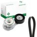 Ina 529 0013 10 spanriem Poly-V