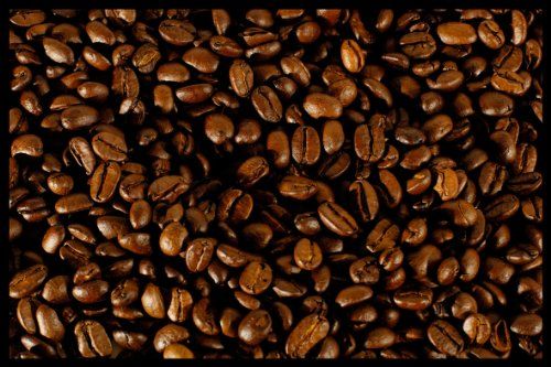 Digital Republic.Com 40206 deurmat, polyamide PVC, ftalaatvrij