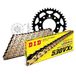Kettingset DID Kettingset staal 530VX3 / 100 eindeloos voor Honda FT 500 cc bj. 1982-1984