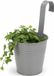 Progarden Bloempotje met haak - plantenbak zink met ophanghaak - grijs - 20 x 13 x 26 cm