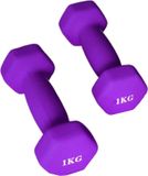 X-sport Haltère courte 1 kg, violet, 2 pièces