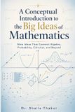 A Libri GmbH A Conceptual Introduction to the Big Ideas of Mathematics