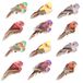 Merkloos Künstliche Vögel 12 Stück – Bunte Vogeldekoration – Clip-On-Dekorationen – Für Garten/Haus – Realistische, moosüberzogene Vögel – Hochwertiger Schaumstoff – Dekorative Vögel