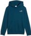 Puma Ess 2 Color Small No. 1 Logo Hoodie Fl B Enfants Bleu