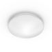 Philips Hue Philips Canopus Plafondlamp - 2000 Lumen - Zilver