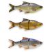 Savage Gear 3D Line Thru Roach Swimbait 18cm 80g Slow Sinking Noir Orange