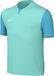 Nike Uniseks-Kind Short Sleeve Top Y Nk Df Trophy V Jsy Ss, Hyper Turq/Chlorine Blue/Wit, DR0942-354, XS