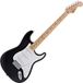 Fender Limited Edition Standard Stratocaster Maple Fingerboard Black
