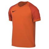NIKE Nike Dri-fit Football Shirt baby-jongens Shirt