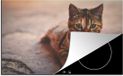 Merkloos KitchenYeah® Inductie beschermer 77x51 cm - Poes - Multicolor - Inductiebeschermer voor Inductie Kookplaat
