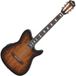 Ibanez FRH20SMN Tobacco Burst Low Gloss