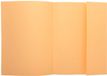 Exacompta 5x SUPER 160 Pak van 100 mappen met 1 klep - 24x32cm - Gems