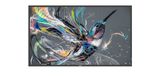 Philips 43BDL3511Q/00 / 43 inch / 4K Ultra HD / 2022