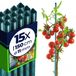 KADAX Bloemensteun, 150 cm, Staal, Kunststof Gecoat, Set van 15