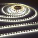 Knightsbridge LED Flex Lighting, 9,6 W, Daglicht