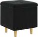 vidaXL Ottoman met opslag Zwart Fluweel 40 x 40 x 45 cm
