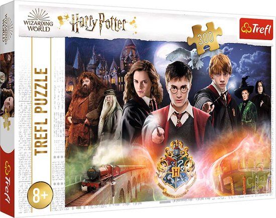 Trefl Harry Potter - The Secret - 1000 stukjes - Legpuzzel