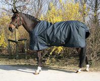 Harry's Horse Deken Thor 200gr Ebony 95cm