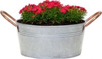 Mega Collections Pot de fleurs Jean - Zinc - Argent - D22 x H10 cm