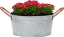 Mega Collections Pot de fleurs Jean - Zinc - Argent - D22 x H10 cm
