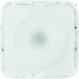 Busch-Jaeger 2068/22-214 BJ ICELIGHT PLAFONDMODULE RSI Wit