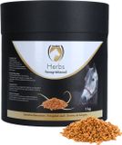 Excellent Herbs Fenegriekzaad - 1 kg