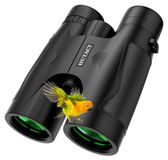 Jumelles 10 x 42 Compact Étanche Observation des oiseaux et randonnée