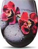 Merkloos Happyment Toiletbril Antibacteriële - Met Softclose - Universeel - Rode bloem print