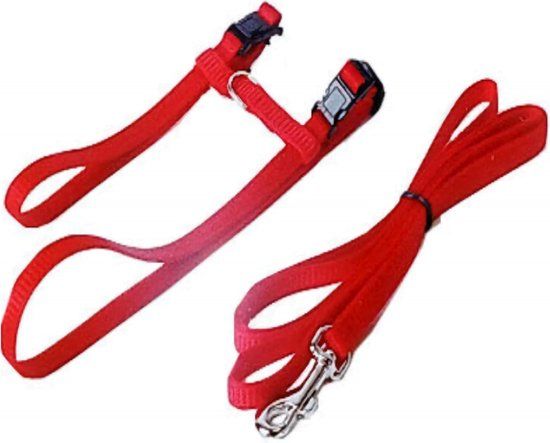 Gebr. de Boon Kattentuigje - Kattenharnas - Nylon - Rood