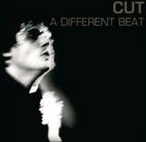 Sonic Rendezvous Cut - A Different Beat (LP)
