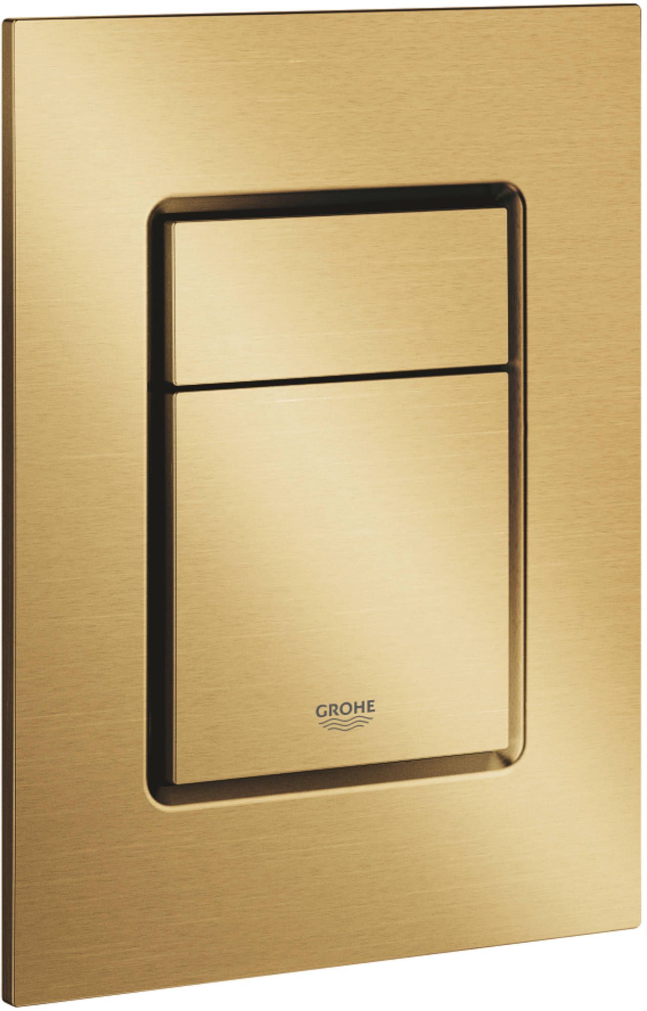 Skate Cosmopolitan S