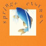 Springs William Doyle - Springs Eternal (LP) (Coloured Vinyl)