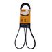 Continental CONTITECH 6PK1560 V-ribbelriem
