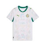 PUMA Tricot 'Senegal 2026' lichtblauw / groen / lichtoranje / wit