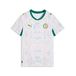 PUMA Tricot 'Senegal 2026' lichtblauw / groen / lichtoranje / wit