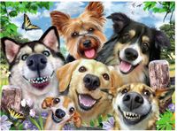 Ravensburger Vrolijke honden - Legpuzzel - 500 stukjes