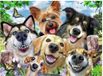 Ravensburger Vrolijke honden - Legpuzzel - 500 stukjes