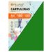 Verpakking Icecat Verpakking met 100 dozen kleur groen maat A4 180 g
