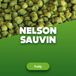 Nelson Sauvin houblon en pellets 100 g